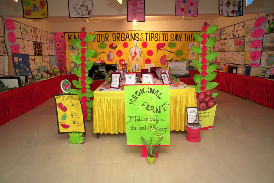 Exhibition Photo Gallery how-to-make-a-chart-for-science-exhibition-youtube